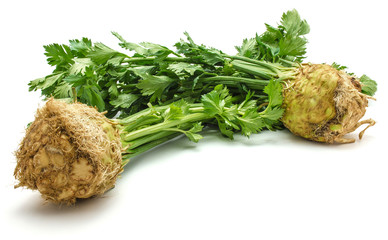 Fresh celery root with leaves isolated on white background two bulbs closeup
