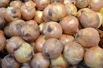 หัวหอมใหญ่