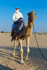 Arab man riding a camel