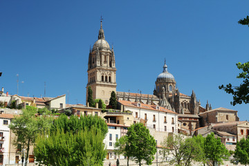 Obraz premium New Cathedral of Salamanca, Spain 