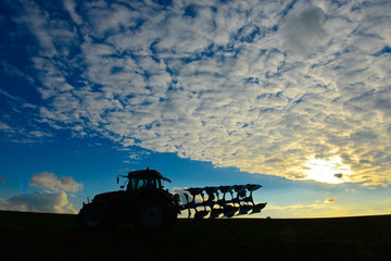 Fototapeta premium agriculture