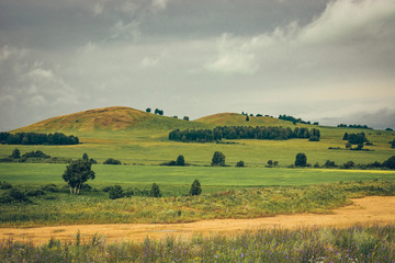 Fototapeta premium A hilly green landscape with a dirt road, trees and a cloudy gray sky.