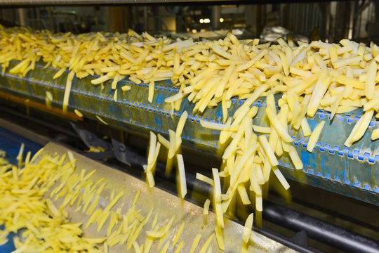 Mc Cain Lutosa usine frites patates pomme terre agriculture surgele production travail emballage ouvrier
