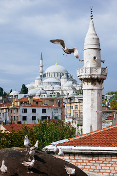 Suleymanie mosque and flying birds