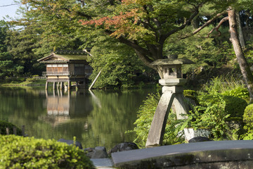 夏の兼六園　徽軫灯籠と霞ヶ池　※灯籠の隣のモミジは若い木に変わりました