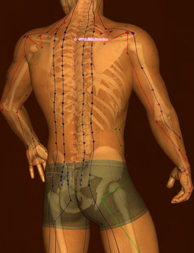 Drawing Acupuncture Point with Skeleton GV12 Shendao, 3D Illustration, Brown Background