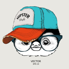 The poster with the image penguin portrait in hip-hop hat. Vector illustration.