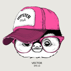 Fototapeta premium The poster with the image penguin portrait in hip-hop hat. Vector illustration.