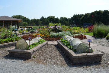 Vegetable beds in the garden