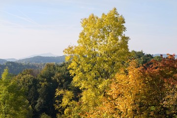 Autumn colored trees in Czech Paradise.