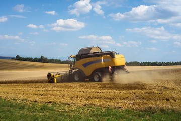 Fototapeta premium Combine harvester harvested cereal in filed.