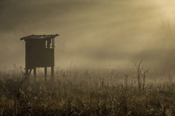 Dichter Nebel umgibt den Jägersitz im Moor