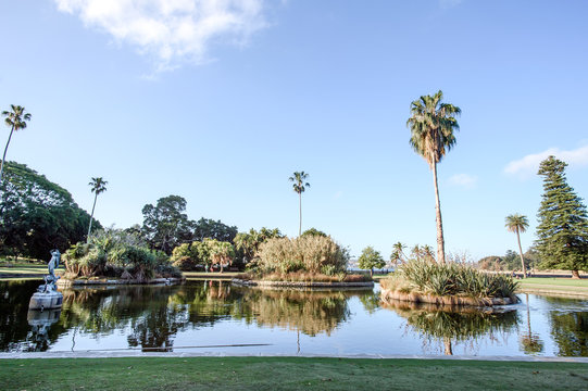 Sydney Royal Botanic Gardens