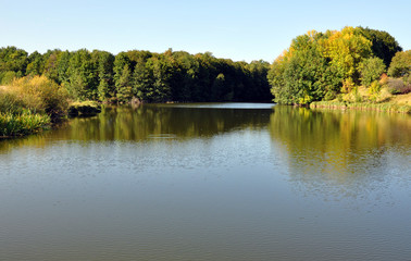 Fototapeta na wymiar trees reflected in the river