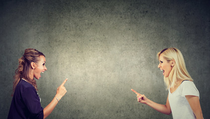 Two angry young women fighting screaming at each other