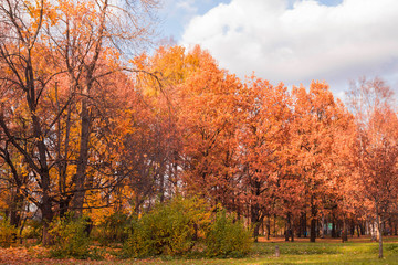 Autumn landscape of Russia