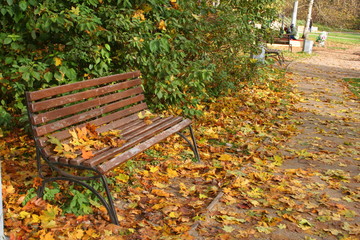 autumn in the Park