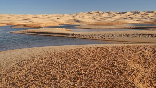 Oasi nel Sahara