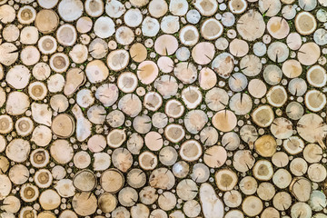 Wooden stumps natural decoration background