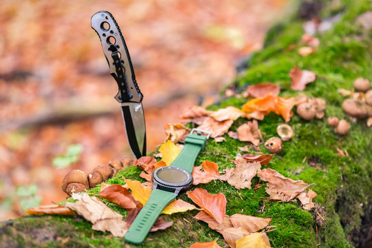 Folding knife and watch in the autumn forest