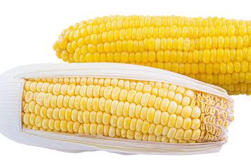 canned corn and sweet corn isolated on white background, selective focus (detailed close-up shot)