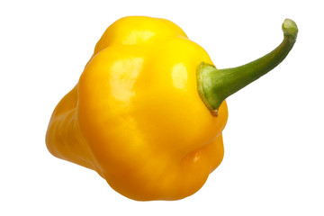 Trinidad Perfume chile C. chinense, path