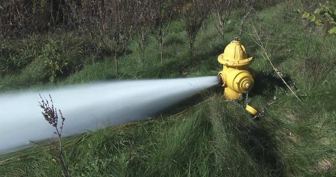 Flushing Of Fire Hydrant - Grass - Medium Shot