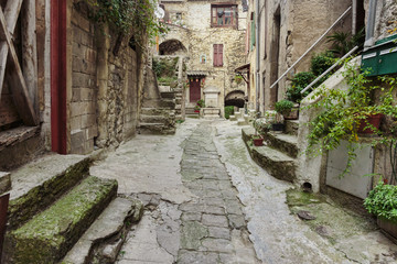 Fototapeta na wymiar Narrow cobbled streets in the old village Luseram, France