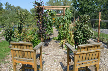 Obraz premium Chairs in the arboretum