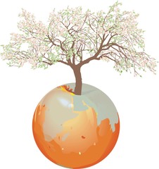 Earth - Apple tree