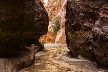 Ancient abandoned rock city of Petra in Jordan tourist attraction 