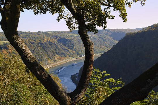 Ausblick vom Loreley-Felsen auf den Rhein