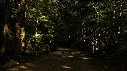 Naklejka premium Nature Photography