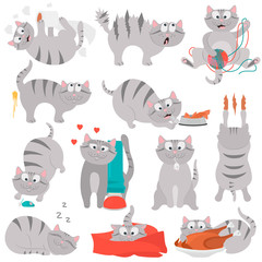Obraz na płótnie Canvas Happy life of a cat color flat illustration set