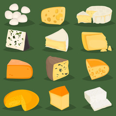 The most popular cheeses color flat icons set