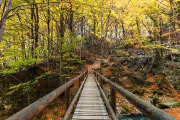 Fototapeta premium colorful autumn landscape at urederra source, Spain