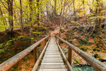 colorful autumn landscape at urederra source, Spain