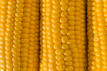 Fresh corn as a background, texture