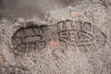 Footprint of a shoe in the mud