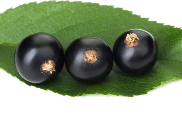 ripe juicy black currant on a white table