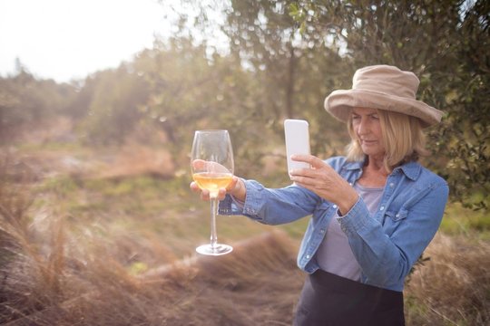 Woman taking a photo of wine glass in olives farm - Powered by Adobe