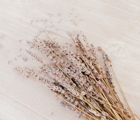 Bündel getrockneter Lavendel, auf Holzuntergrund
