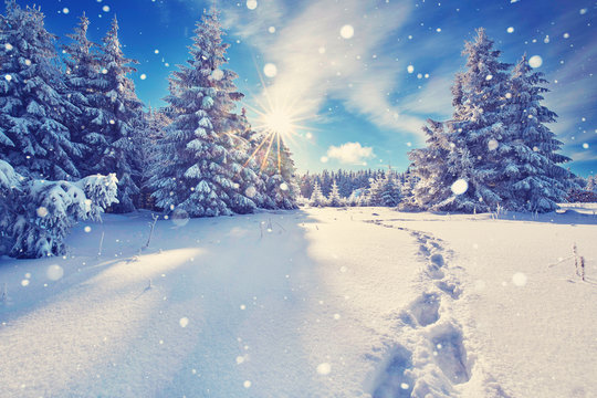 Fu&szlig;spuren im Schnee im Winterwald
