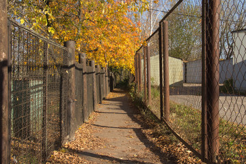 The path between the fence