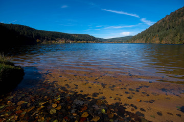 Herbst am Lac de Longemer in den Vogesen