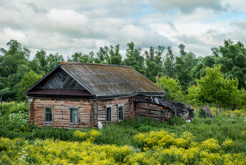 Old shack and blooming grass in countryside. Yellow flowers and green grass growing near aged wooden hut against cloudy sky. Abandoned old log house