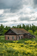 Fototapeta na wymiar Old shack and blooming grass in countryside. Yellow flowers and green grass growing near aged wooden hut against cloudy sky. Abandoned old log house