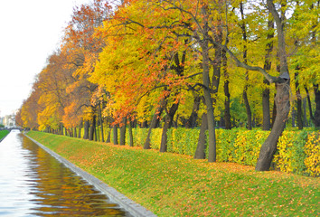 Park at autumn.