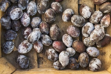 organic plum fruit