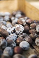 organic plum fruit